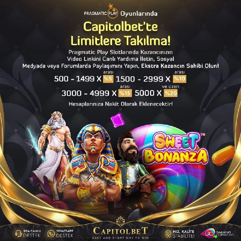 Capitolbet Telegram: 💡 #CapitolBet 'te ile Limitlere Takılma 💎 ⭐️En Çok Sevilen Sağlayıcılardan…