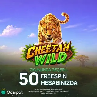 Casipot Telegram: 🎉 Promosyon kodlarımız tükenmiştir. Etkinliğimize gösterdiğiniz yoğun ilgi için…