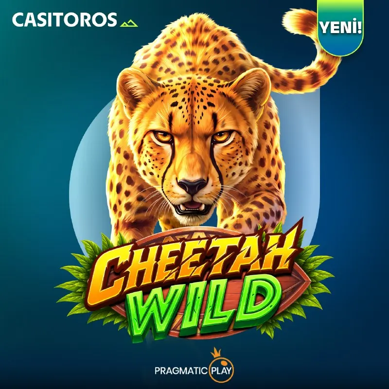 Casitoros Telegram: 🆕 Cheetah Wild Spinleri! ⚡️ 💥 Haftanın yeni oyunu Cheetah Wild, Pragmatic Play…