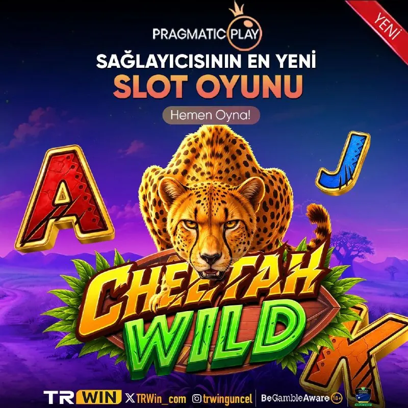 TRWin Telegram: 🎰PRAGMATIC PLAY EN YENİ OYUNLARI TRWIN FARKIYLA!🎰 🏵En Yeni Oyun Deneyimi…